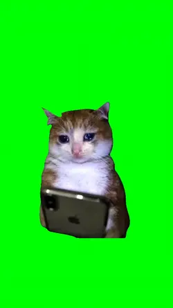 CAT CRYING