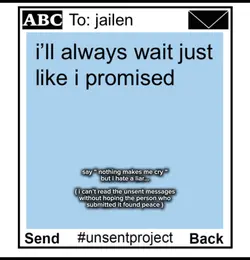 the unsent project