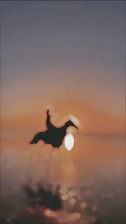 slowmotion trend
