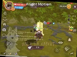 Reaching lvl 200bear
