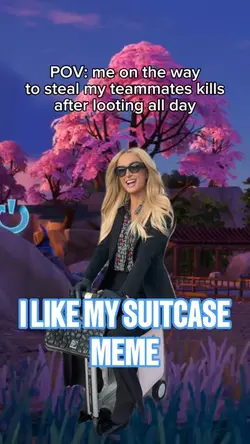 my suitcase meme