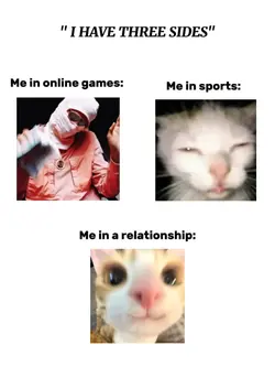 I have three sides 