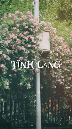 TĨNH LẶNG 