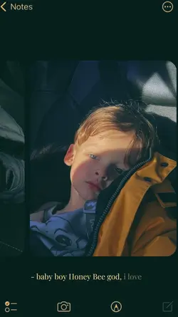 Baby boy honey bee