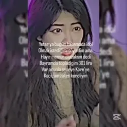 Tır edit sil al
