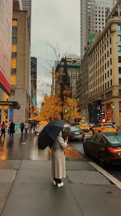Cityvibes transition