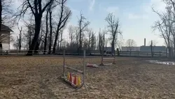 Slowmo
