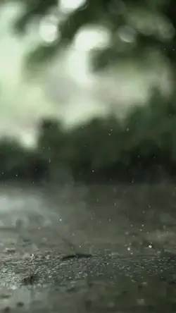 6 video