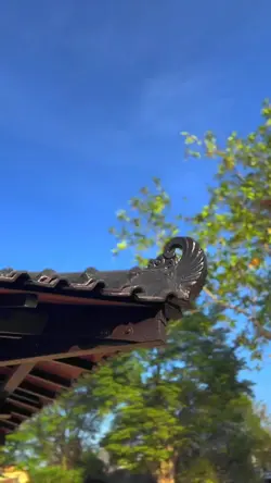 Cinematic HD
