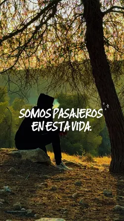 Somos pasajeros...