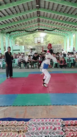 Tournament