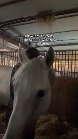 Już wiem…