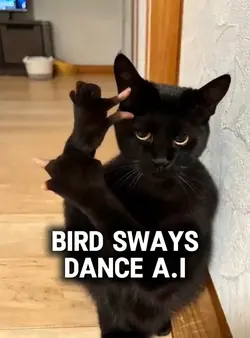 bird sways Dance 