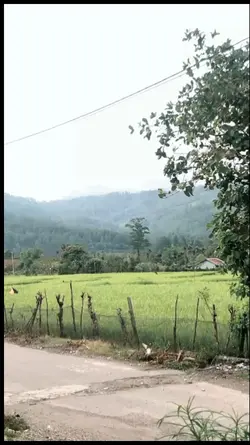 lagu gayo