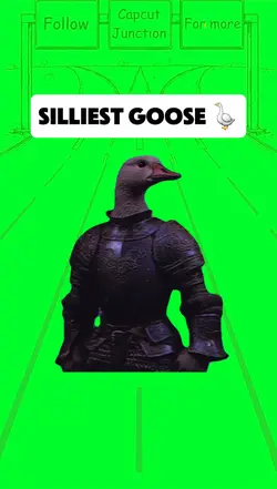 Silliest goose 