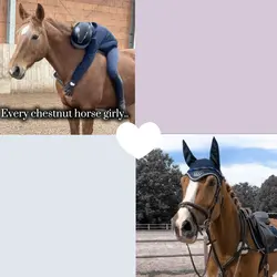 Horse beastie templa