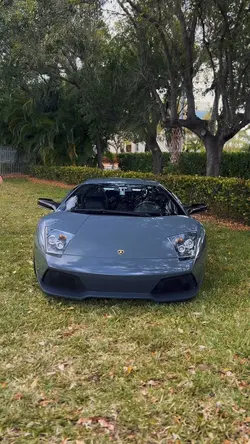 Murci