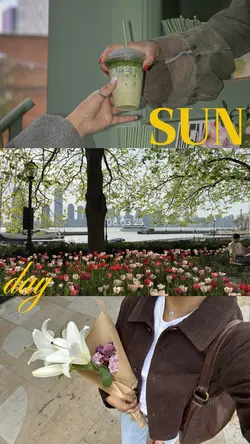 sunday 
