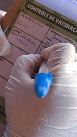 CAMPANHA ANTIRRÁBICA