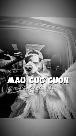 4 ẢNH CỰC CUỐN 