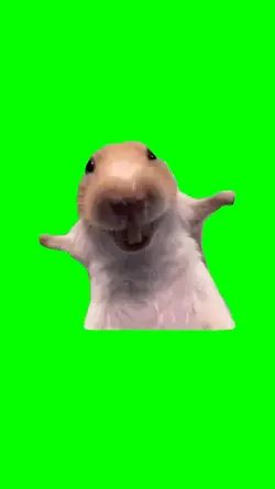 Funny rat laugh 