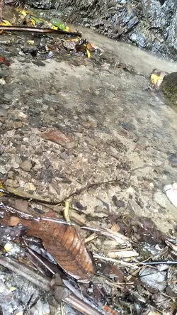 seperti air terjun