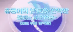 반모/반박방