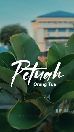 PETUAH ORANG TUA
