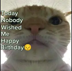 Nobody wished me