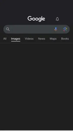 Google search2