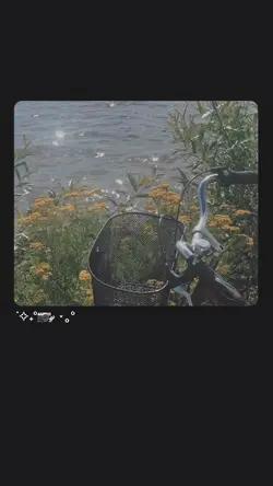 2 video vintage