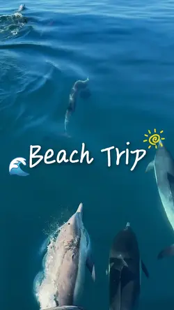 Beach trip
