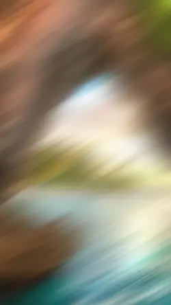 Zoom Trend