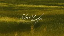 SLICE OF LIFE 