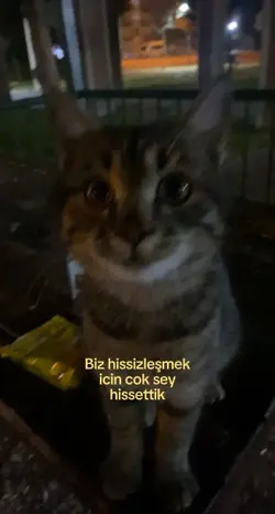 cok