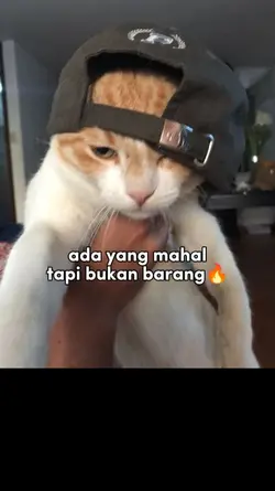 ada yang mhal 