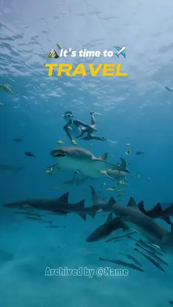 It’s time to Travel