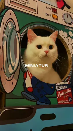 MINIATUR - SUARAKAYU