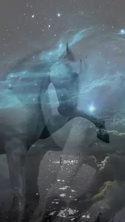 HORSES BEAUTY 