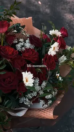 life moments 