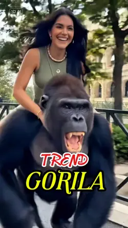 TREND GORILA 