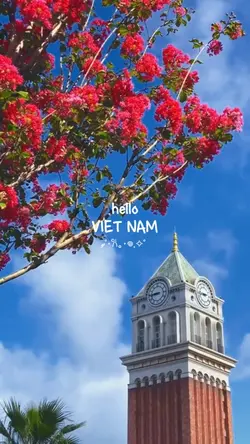 Hello Vietnam