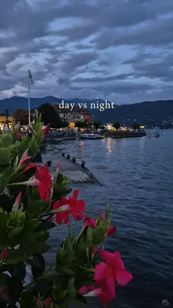 DAY VS NIGHT 2 clips