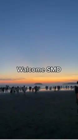 SMD80
