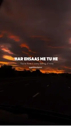 Teri meri
