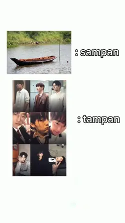 tampan 