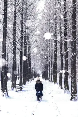 Beautiful snow