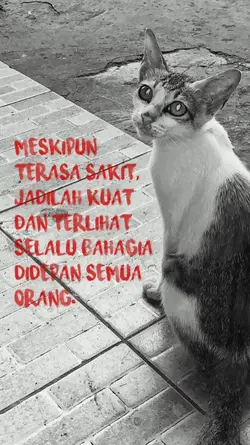 Meskipunterasasakit