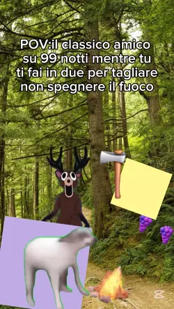 99 notti