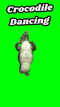 Crocodile dancing